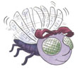 Diary of a Fly