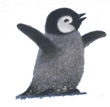 If You Were a Penguin
