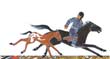 Girl Who Loved Wild Horses, The