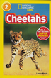 Cheetahs