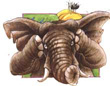 Anansi and the Talking Melon