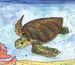 Sea Turtles