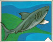 Sharks