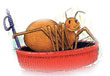 Diary Of A Spider