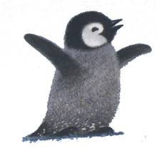 If You Were a Penguin