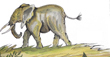 Elephants of Africa
