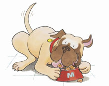 Puppy Mudge Has a Snack