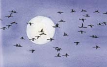 Full Moon is Rising, A