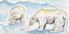 Polar Bears