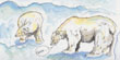 Polar Bears