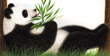 If You Were a Panda Bear