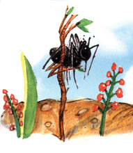 Anansi and the Magic Stick
