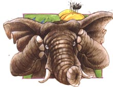 Anansi and the Talking Melon