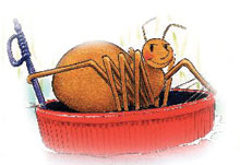 Diary Of A Spider